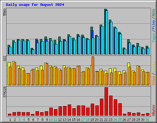 Daily usage for August 2024