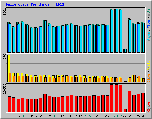 Daily usage for January 2025