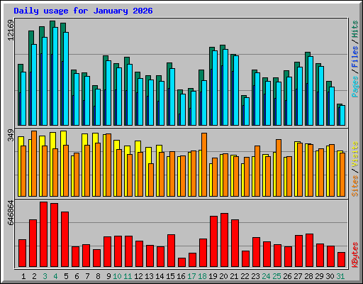 Daily usage for January 2026