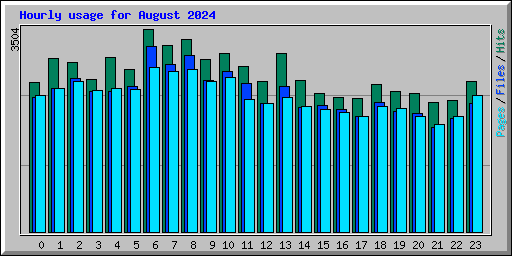 Hourly usage for August 2024
