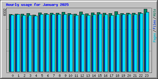 Hourly usage for January 2025