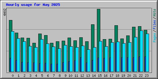 Hourly usage for May 2025