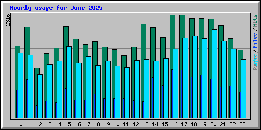 Hourly usage for June 2025