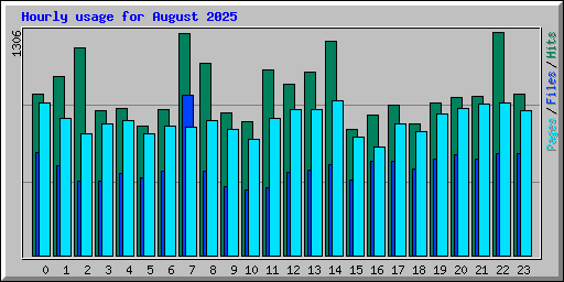Hourly usage for August 2025