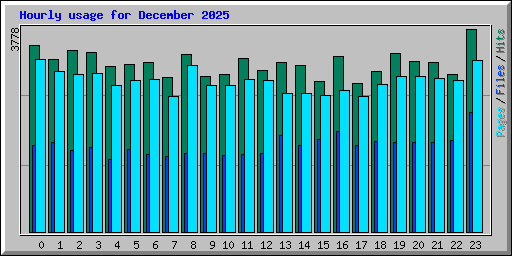 Hourly usage for December 2025