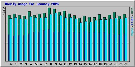 Hourly usage for January 2026